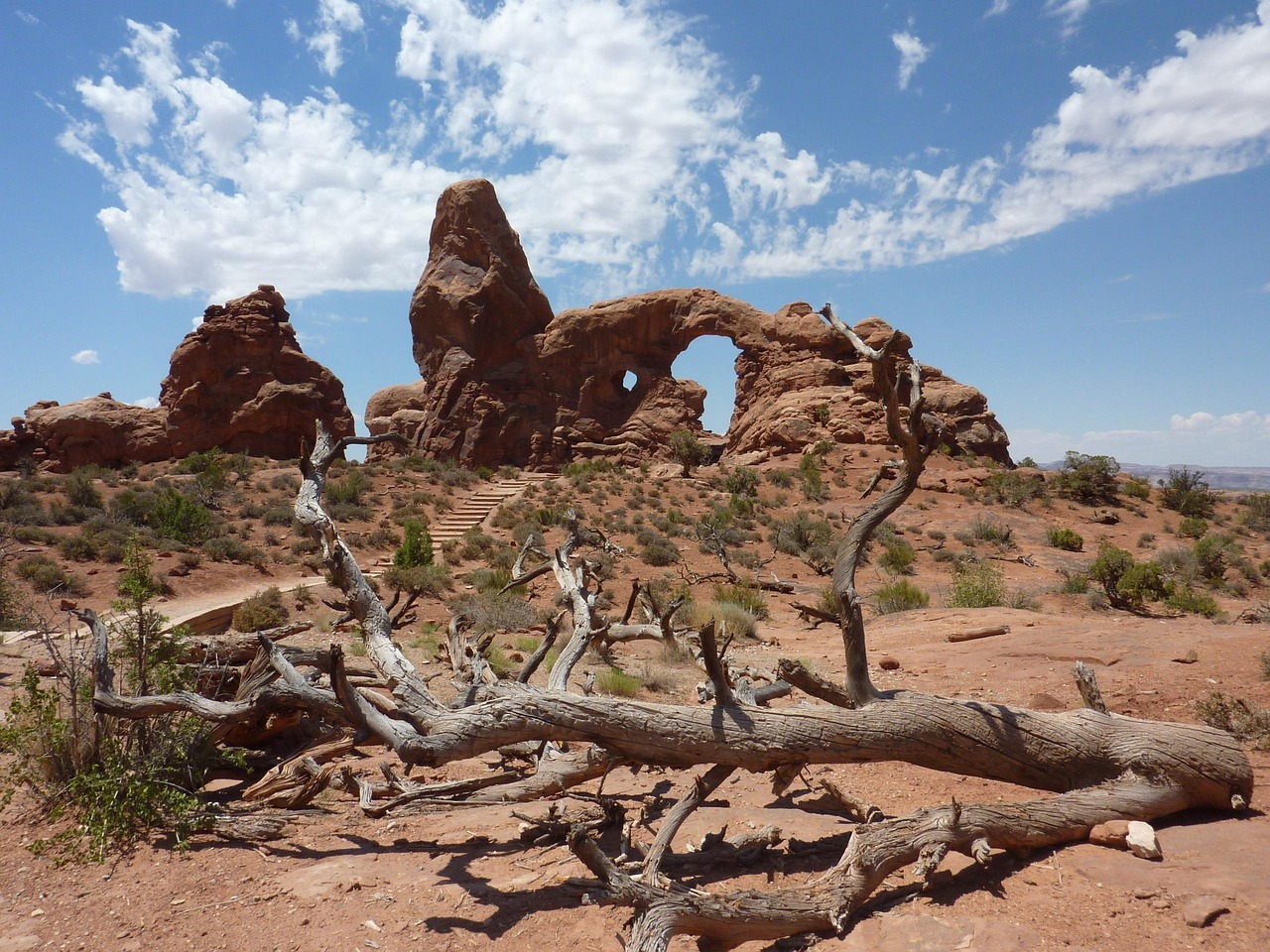 Sandstone arch with a large opening and a small round window beyond a dead tree and a stepped trail