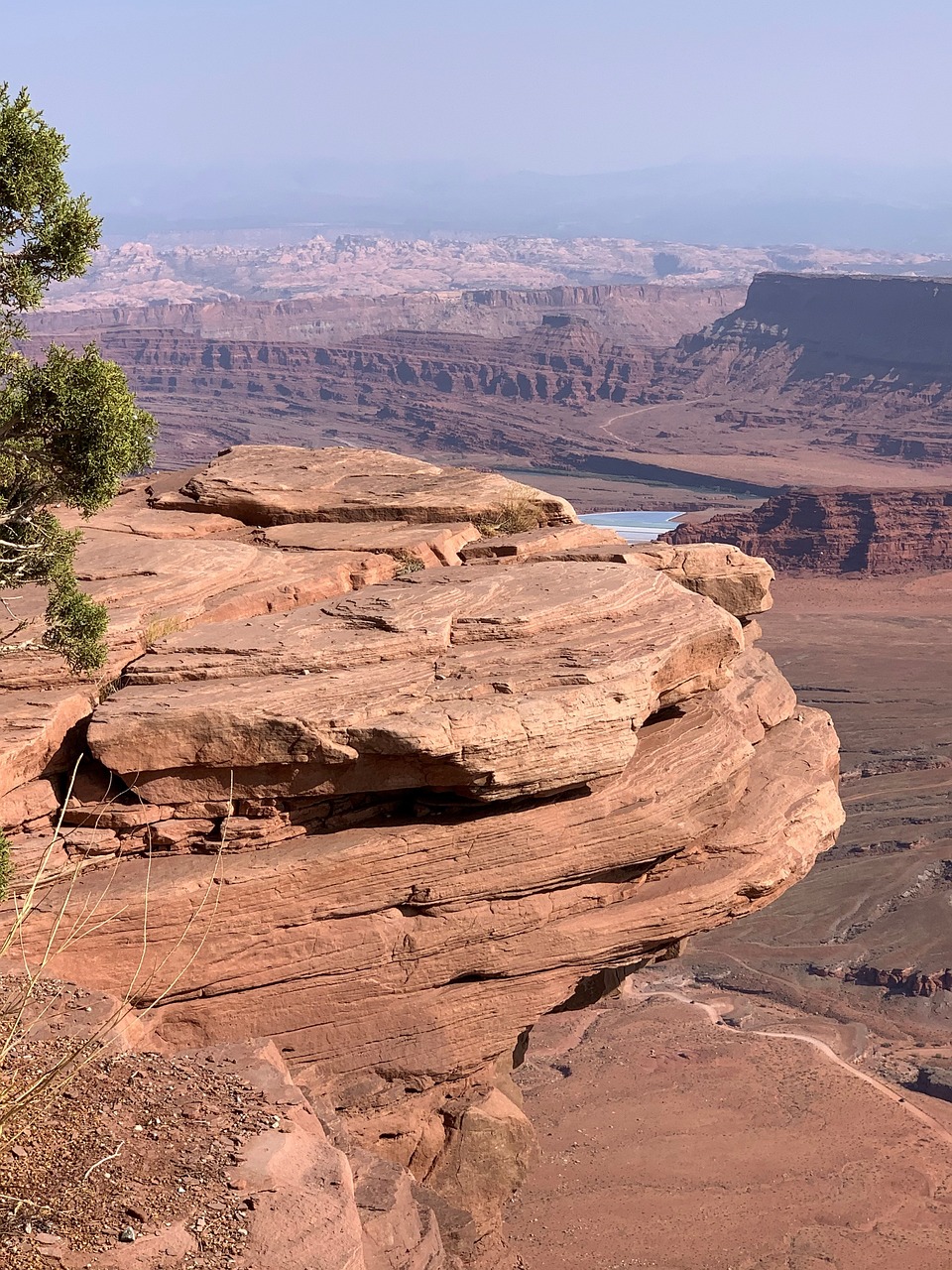 Sandstone Ledge Above the Canyon Layered sandstone ledge above a deep canyon and river bend with a juniper tree at the left edge