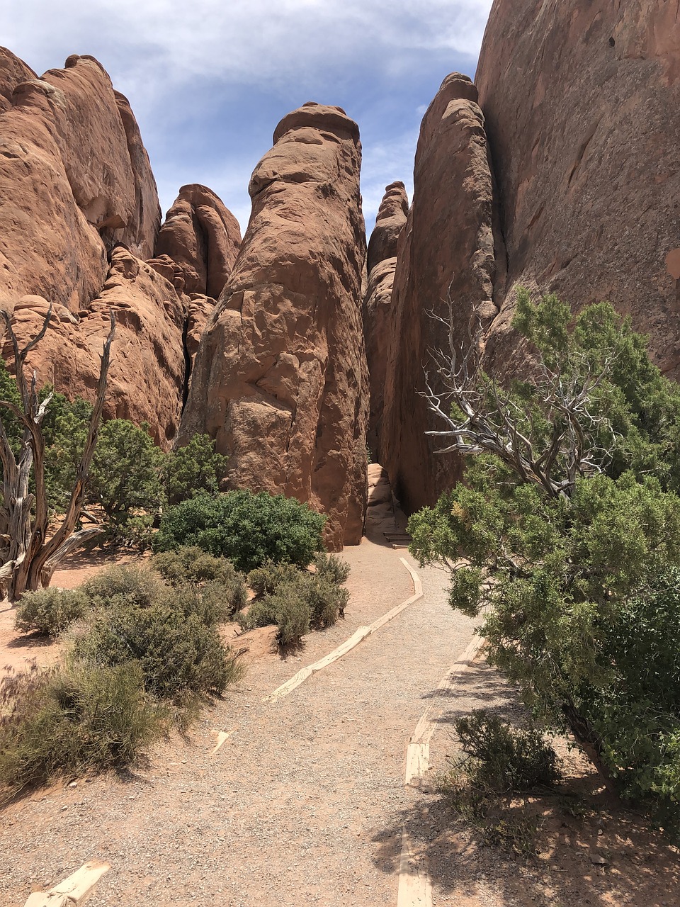 Gravel trail edged with timber leading toward a narrow gap between tall red sandstone fins and juniper trees