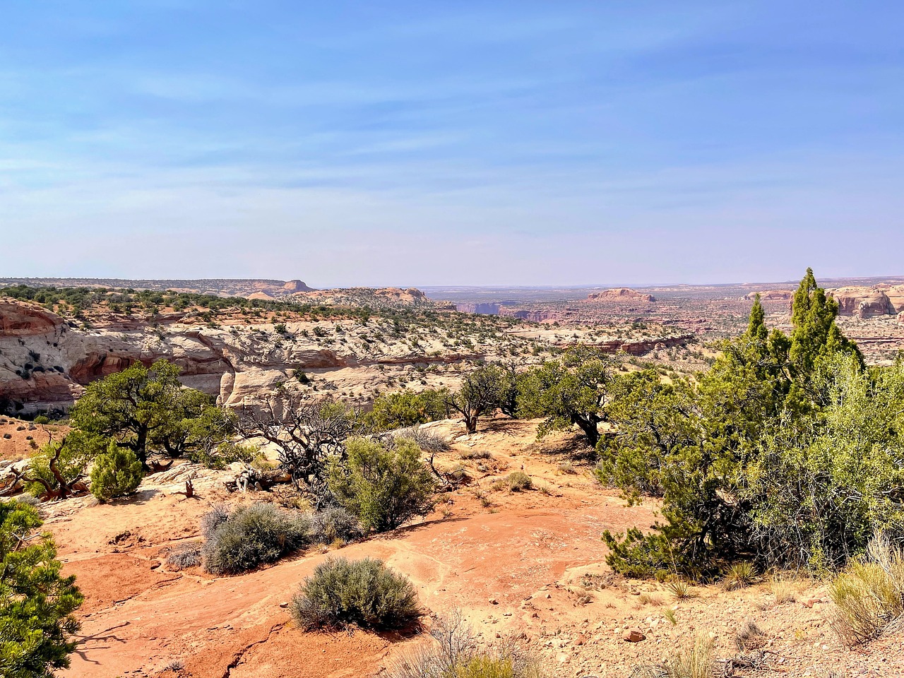 Juniper trees and pale sandstone on a high overlook above layered canyons and distant mesas under a hazy sky