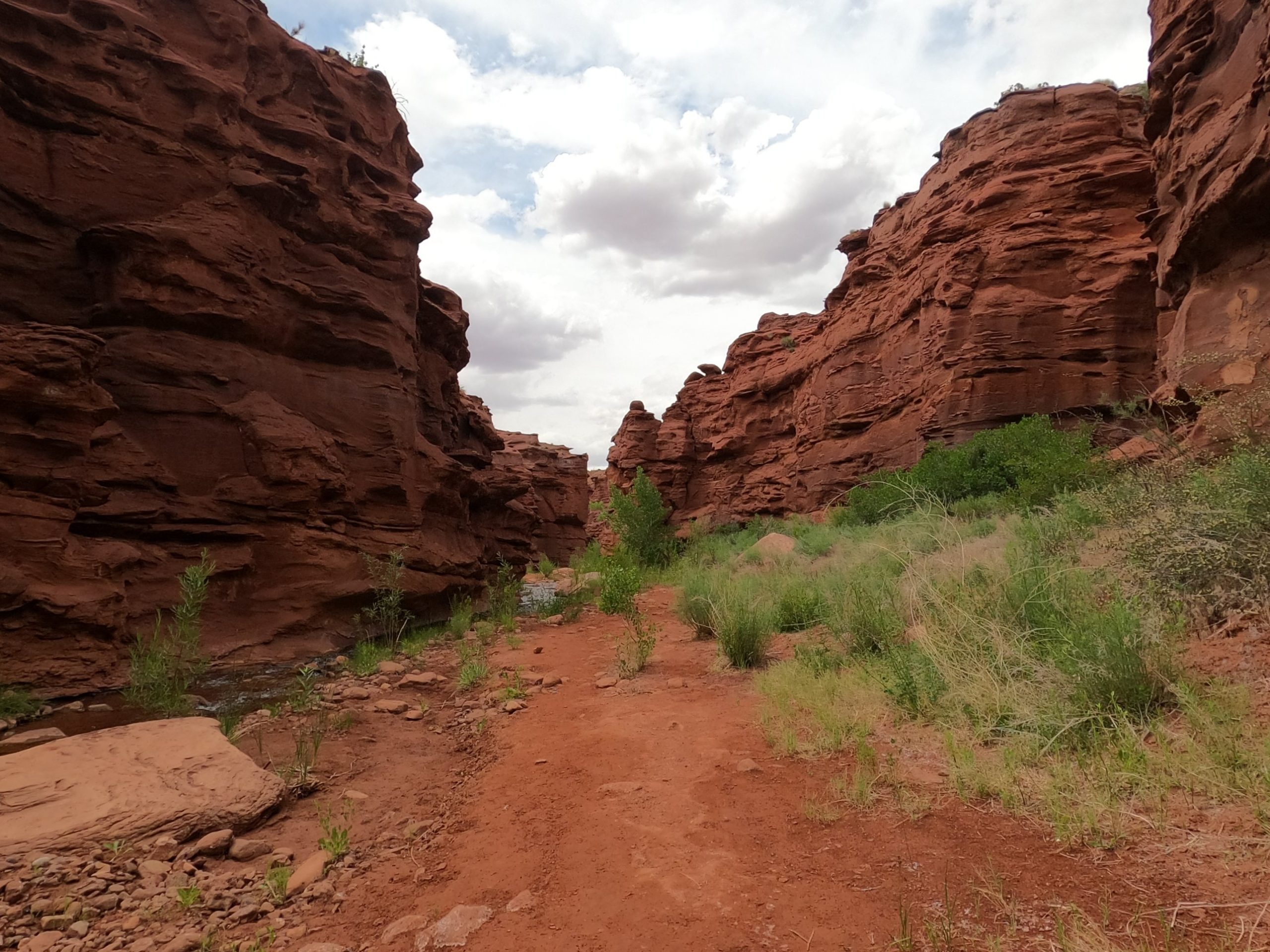 Dirt trail through a narrow red sandstone canyon with a creek on the left