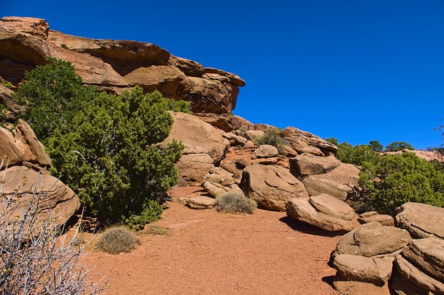 Sandstone Slabs Along the Trail Sandstone slabs and boulders beside a juniper tree on a dirt trail under a deep blue sky